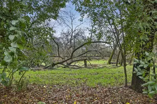 5365 Whitney Blvd, Rocklin, CA 95677 - Photo 43