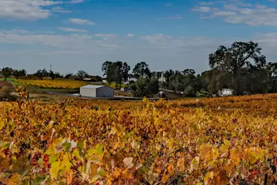 10786 Shenandoah Road, Plymouth, CA 95669 - Photo 65