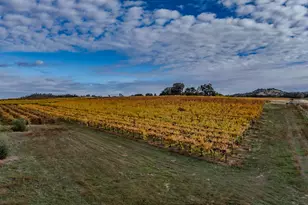 10786 Shenandoah Rd, Plymouth, CA 95669 - Photo 69