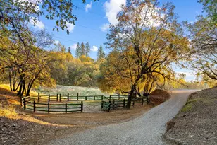 2000 Bear Rock Rd, Placerville, CA 95667 - Photo 5