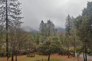 1333 174 Hwy, Colfax, CA 95713 - Photo 41