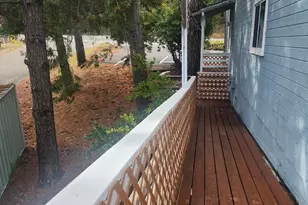 1333 174 Hwy, Colfax, CA 95713 - Photo 53