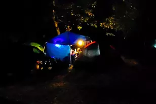 1333 174 Hwy, Colfax, CA 95713 - Photo 35