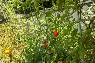 3533 Harpers Ferry Dr, Stockton, CA 95219 - Photo 29