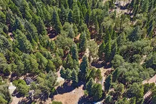 740 Hideaway Loop, Alta, CA 95701 - Photo 65