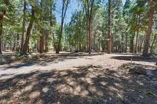 740 Hideaway Loop, Alta, CA 95701 - Photo 63