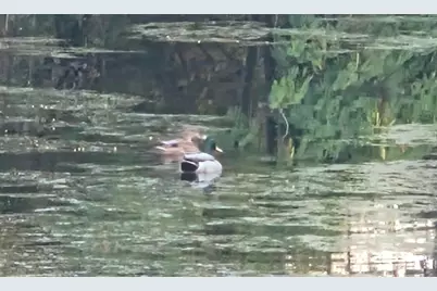 Cavitt Stallman Road #1, Granite Bay, CA 95746 - Photo 39