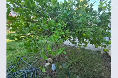 Cavitt Stallman Road #1, Granite Bay, CA 95746 - Photo 29