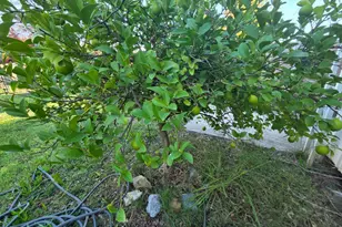 Cavitt Stallman Rd, Granite Bay, CA 95746 - Photo 29