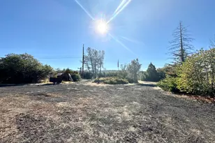 4550 Wilson Hill Rd, Manton, CA 96059 - Photo 45