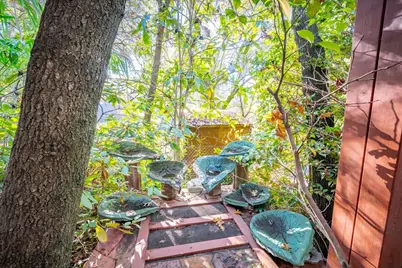 155 Pinewood Way, Auburn, CA 95602 - Photo 83