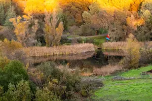 20839 Bear Hollow Rd, Grass Valley, CA 95949 - Photo 31