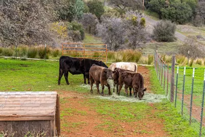 20839 Bear Hollow Road, Grass Valley, CA 95949 - Photo 35
