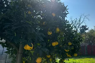 968 Virginia Ave, Olivehurst, CA 95961 - Photo 21