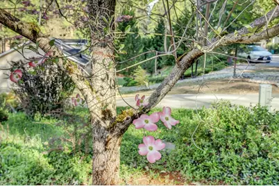 362 Gracie Road, Nevada City, CA 95959 - Photo 89