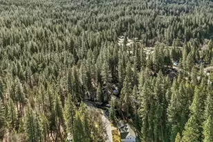 362 Gracie Rd, Nevada City, CA 95959 - Photo 77