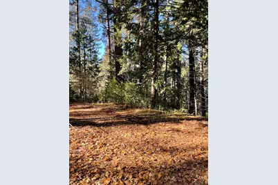 22447 Ponderosa Drive, Twain Harte, CA 95383 - Photo 5