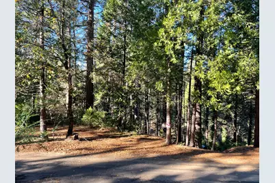 22447 Ponderosa Drive, Twain Harte, CA 95383 - Photo 1