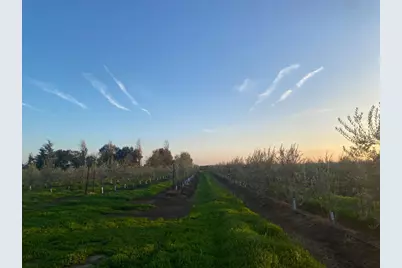 23181 N Devries Road, Lodi, CA 95242 - Photo 3