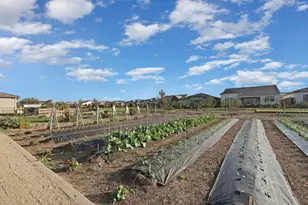 1839 Snowflower Pl, Tracy, CA 95377 - Photo 53