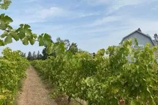 17266 Hillside Dr, Lodi, CA 95240 - Photo 81