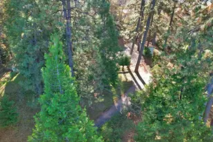 17009 Alice Way, Grass Valley, CA 95949 - Photo 49