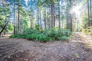 10399 Wentworth Springs Rd, Georgetown, CA 95634 - Photo 43