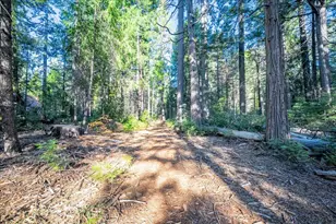 10399 Wentworth Springs Rd, Georgetown, CA 95634 - Photo 41