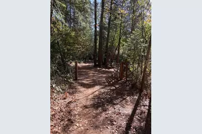 17537 Black Oak Way, Brownsville, CA 95919 - Photo 3