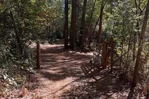 17537 Black Oak Way, Brownsville, CA 95919 - Photo 3