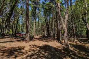 18844 Inspiration Dr, Pioneer, CA 95666 - Photo 75