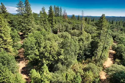 1233 Cedar Hill Road, Mokelumne Hill, CA 95245 - Photo 37