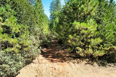 1233 Cedar Hill Road, Mokelumne Hill, CA 95245 - Photo 31