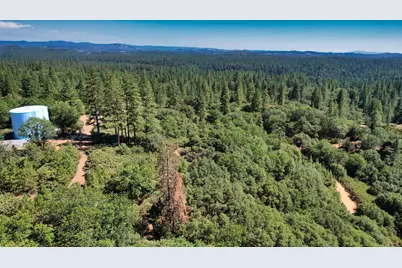 1233 Cedar Hill Road, Mokelumne Hill, CA 95245 - Photo 15