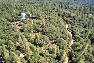 1233 Cedar Hill Rd, Mokelumne Hill, CA 95245 - Photo 1