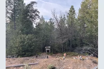 14037 Arrowhead Mine Road, Grass Valley, CA 95945 - Photo 5
