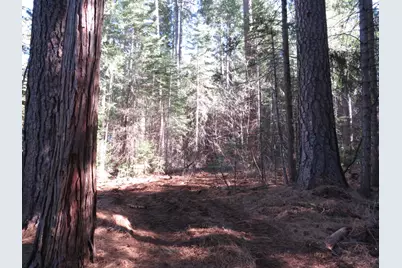 0 Alta Power House Road, Alta, CA 95701 - Photo 5