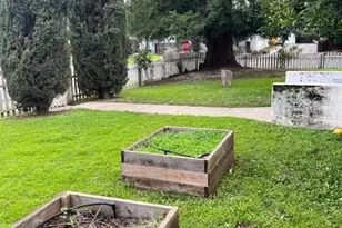 3730 Callison St, Loomis, CA 95650 - Photo 41