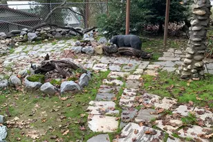 32956 Rd 222, North Fork, CA 93643 - Photo 17