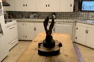 32956 Rd 222, North Fork, CA 93643 - Photo 3