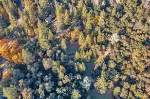 6371 Johntown Creek Rd, Garden Valley, CA 95633 - Photo 45