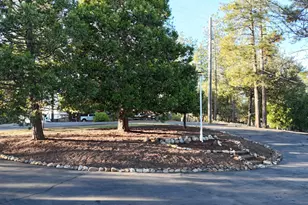 11650 Clinton Bar Rd, Pine Grove, CA 95665 - Photo 53