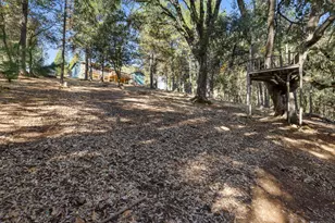 11650 Clinton Bar Rd, Pine Grove, CA 95665 - Photo 53