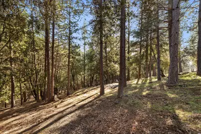 11650 Clinton Bar Road, Pine Grove, CA 95665 - Photo 55