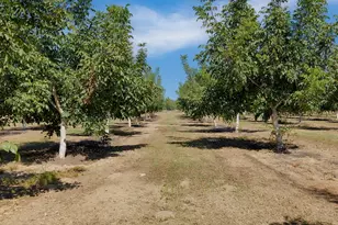 3302 Bear River Dr, Rio Oso, CA 95674 - Photo 33