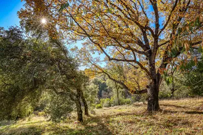 6612 Michel, Mountain Ranch, CA 95246 - Photo 45