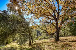 6612 Michel, Mountain Ranch, CA 95246 - Photo 45