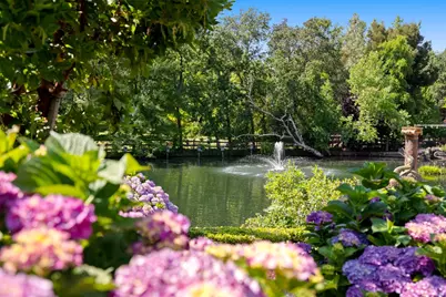 9345 King Road, Loomis, CA 95650 - Photo 73