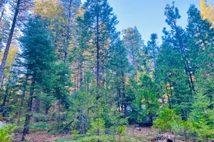 1557 Lily Valley Circle, West Point, CA 95255 - Photo 1