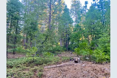 1557 Lily Valley Cir., West Point, CA 95255 - Photo 3